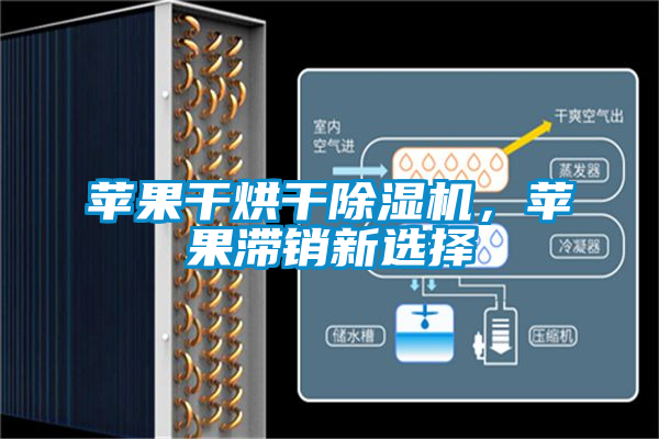 蘋(píng)果干烘干除濕機(jī)，蘋(píng)果滯銷(xiāo)新選擇