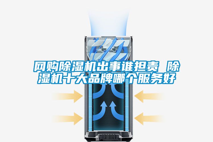 網(wǎng)購除濕機(jī)出事誰擔(dān)責(zé) 除濕機(jī)十大品牌哪個(gè)服務(wù)好