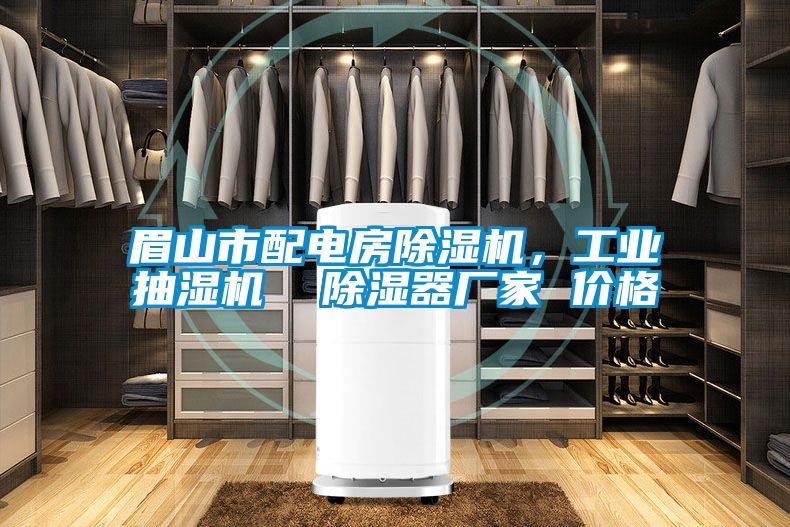 眉山市配電房除濕機，工業(yè)抽濕機  除濕器廠家 價格