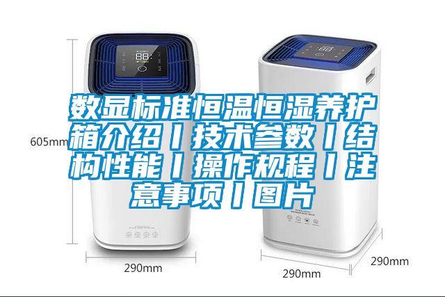 數(shù)顯標(biāo)準(zhǔn)恒溫恒濕養(yǎng)護箱介紹丨技術(shù)參數(shù)丨結(jié)構(gòu)性能丨操作規(guī)程丨注意事項丨圖片