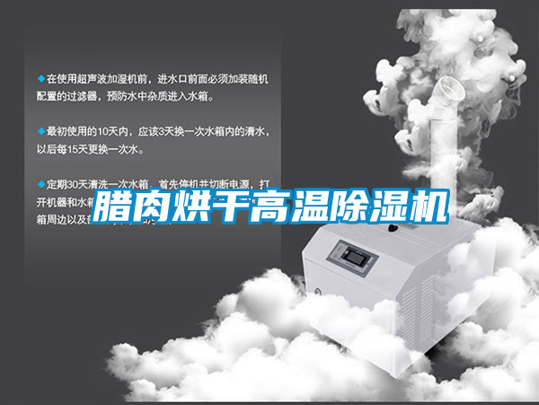 臘肉烘干高溫除濕機(jī)
