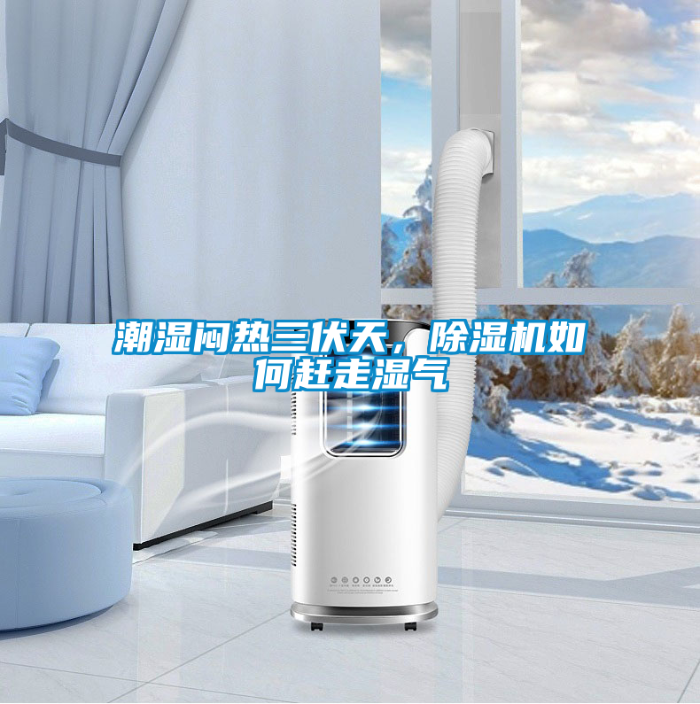 潮濕悶熱三伏天，除濕機如何趕走濕氣