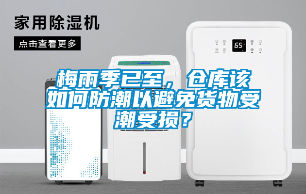 梅雨季已至，倉(cāng)庫(kù)該如何防潮以避免貨物受潮受損？