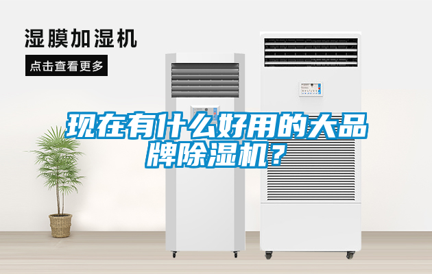 現(xiàn)在有什么好用的大品牌除濕機？