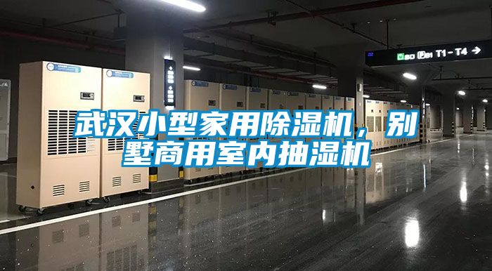 武漢小型家用除濕機(jī)，別墅商用室內(nèi)抽濕機(jī)