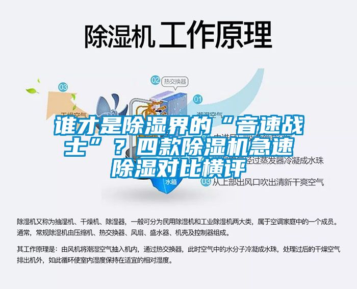 誰才是除濕界的“音速戰士”？四款除濕機急速除濕對比橫評