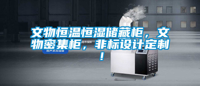 文物恒溫恒濕儲藏柜，文物密集柜，非標設計定制！
