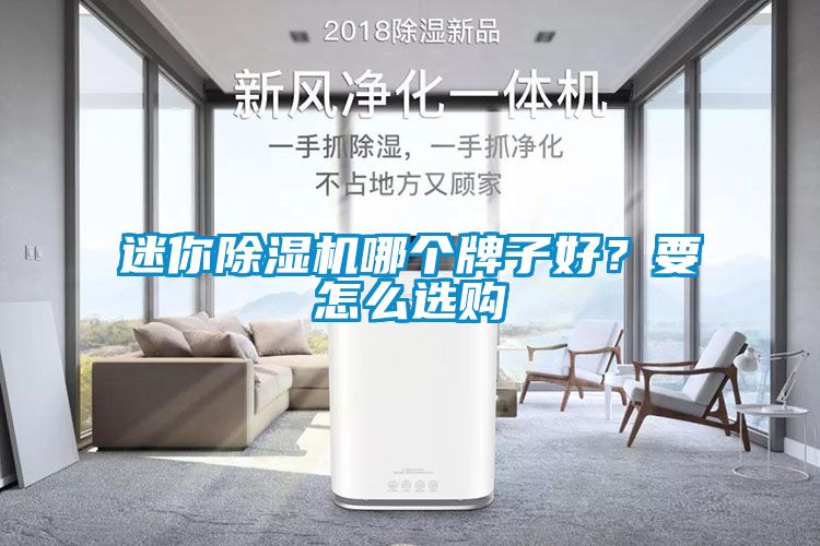 迷你除濕機哪個牌子好？要怎么選購