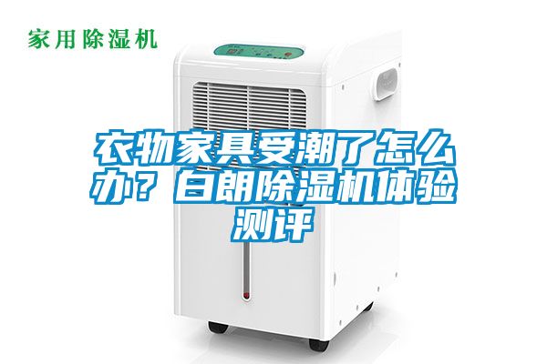 衣物家具受潮了怎么辦？白朗除濕機體驗測評