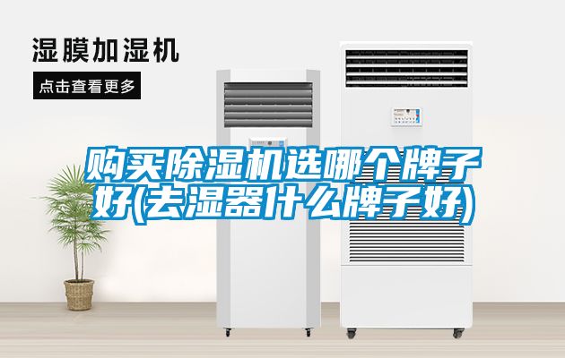 購買除濕機(jī)選哪個(gè)牌子好(去濕器什么牌子好)