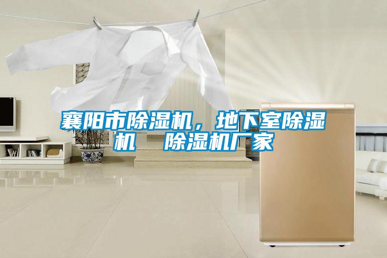 襄陽市除濕機(jī)，地下室除濕機(jī)  除濕機(jī)廠家