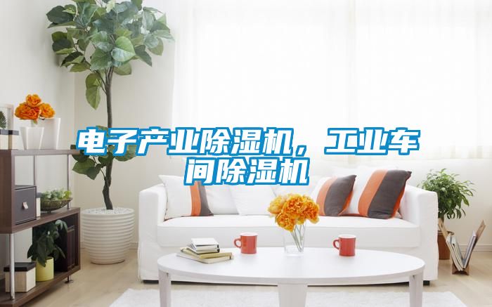 電子產業除濕機，工業車間除濕機