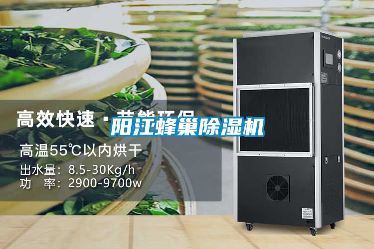 陽(yáng)江蜂巢除濕機(jī)