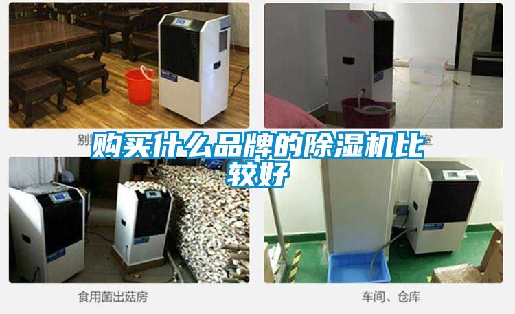 購(gòu)買(mǎi)什么品牌的除濕機(jī)比較好