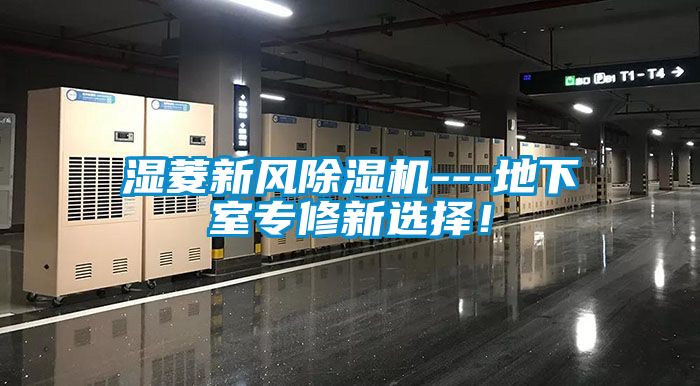 濕菱新風(fēng)除濕機(jī)---地下室專修新選擇！