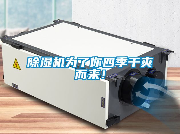 除濕機(jī)為了你四季干爽而來！