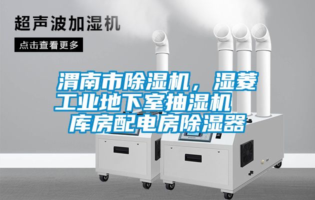 渭南市除濕機，濕菱工業(yè)地下室抽濕機  庫房配電房除濕器