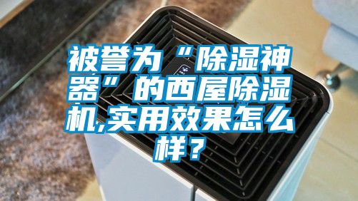 被譽為“除濕神器”的西屋除濕機,實用效果怎么樣？