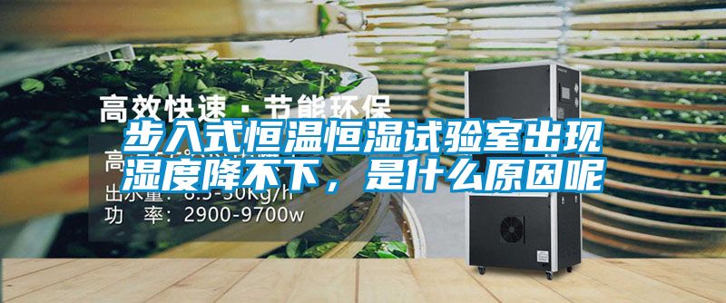 步入式恒溫恒濕試驗(yàn)室出現(xiàn)濕度降不下，是什么原因呢