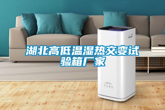 湖北高低溫濕熱交變?cè)囼?yàn)箱廠(chǎng)家