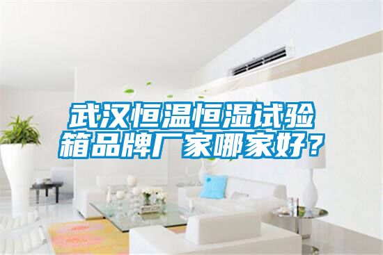武漢恒溫恒濕試驗箱品牌廠家哪家好？