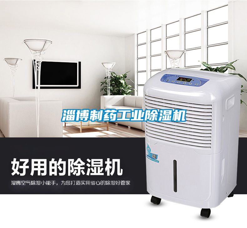 淄博制藥工業(yè)除濕機