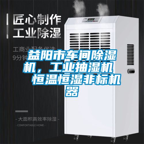 益陽市車間除濕機(jī)，工業(yè)抽濕機(jī)  恒溫恒濕非標(biāo)機(jī)器