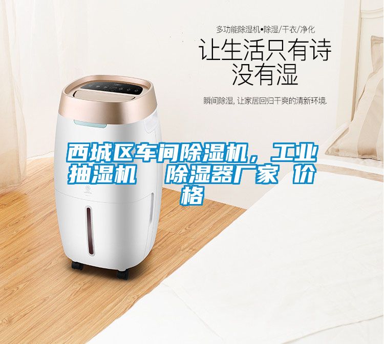 西城區車間除濕機，工業抽濕機  除濕器廠家 價格