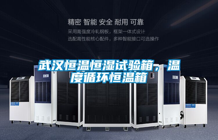 武漢恒溫恒濕試驗(yàn)箱，溫度循環(huán)恒溫箱