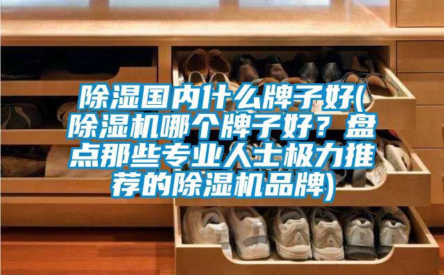 除濕國(guó)內(nèi)什么牌子好(除濕機(jī)哪個(gè)牌子好？盤點(diǎn)那些專業(yè)人士極力推薦的除濕機(jī)品牌)