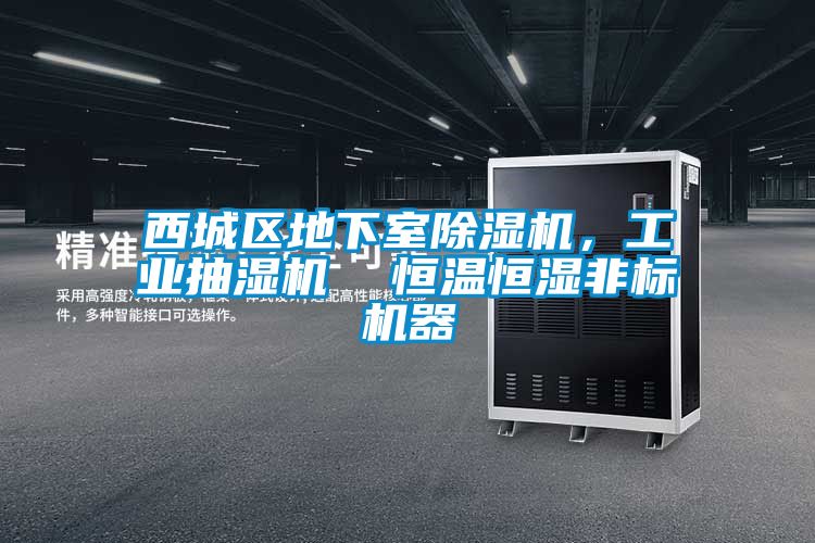 西城區(qū)地下室除濕機，工業(yè)抽濕機  恒溫恒濕非標(biāo)機器