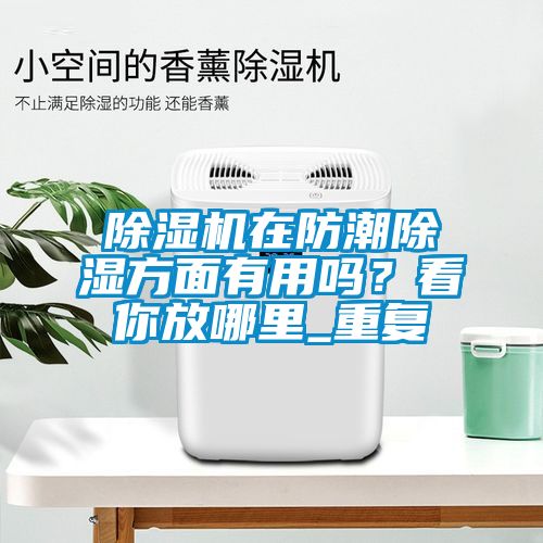 除濕機在防潮除濕方面有用嗎？看你放哪里_重復