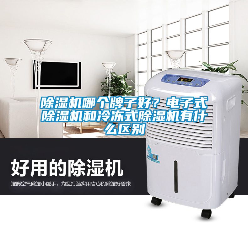 除濕機(jī)哪個(gè)牌子好？電子式除濕機(jī)和冷凍式除濕機(jī)有什么區(qū)別