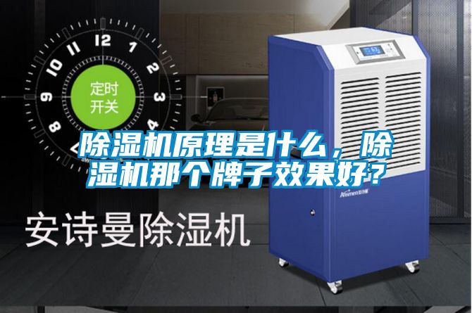 除濕機原理是什么，除濕機那個牌子效果好？