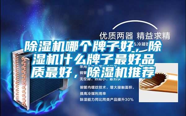 除濕機哪個牌子好，除濕機什么牌子最好品質最好，除濕機推薦