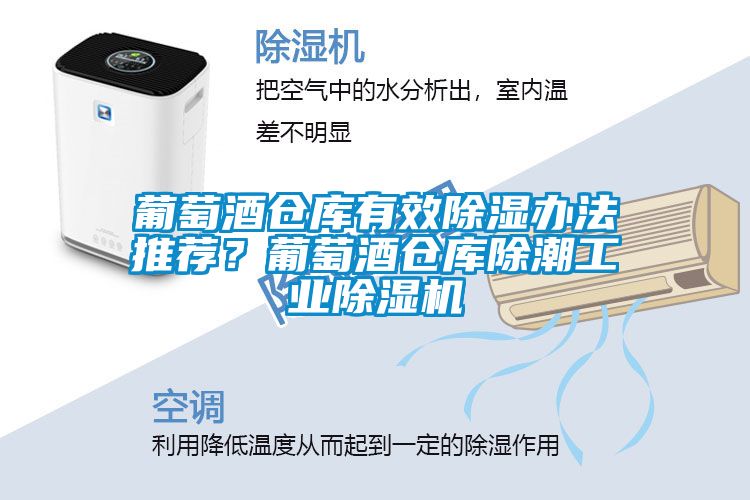 葡萄酒倉庫有效除濕辦法推薦？葡萄酒倉庫除潮工業除濕機