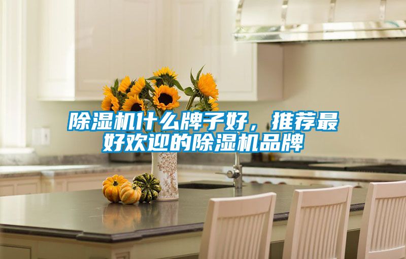 除濕機什么牌子好，推薦最好歡迎的除濕機品牌