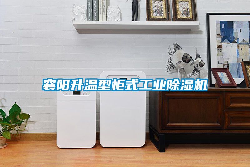襄陽(yáng)升溫型柜式工業(yè)除濕機(jī)