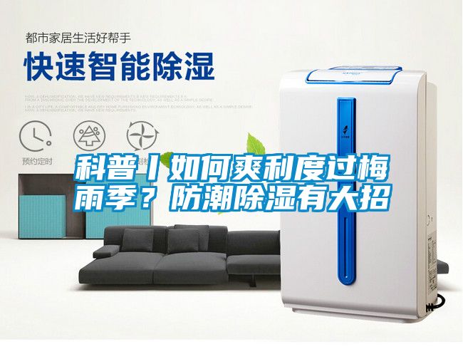 科普丨如何爽利度過梅雨季？防潮除濕有大招