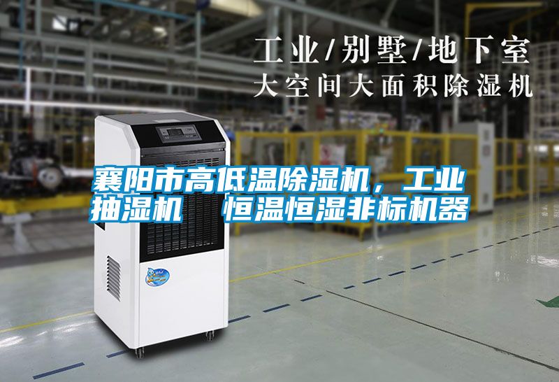 襄陽市高低溫除濕機，工業抽濕機  恒溫恒濕非標機器