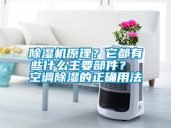 除濕機原理？它都有些什么主要部件？ 空調(diào)除濕的正確用法