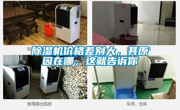 除濕機價格差別大，其原因在哪，這就告訴你