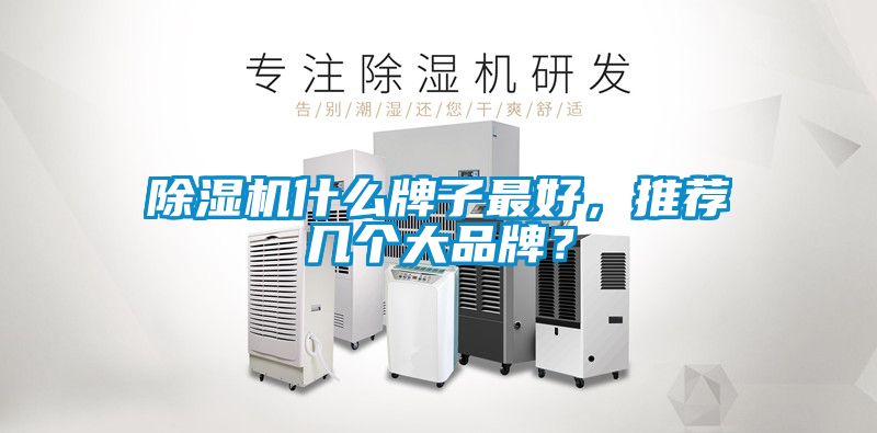 除濕機什么牌子最好，推薦幾個大品牌？