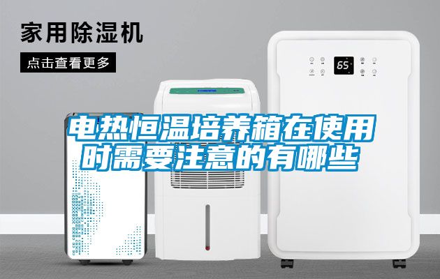 電熱恒溫培養(yǎng)箱在使用時需要注意的有哪些