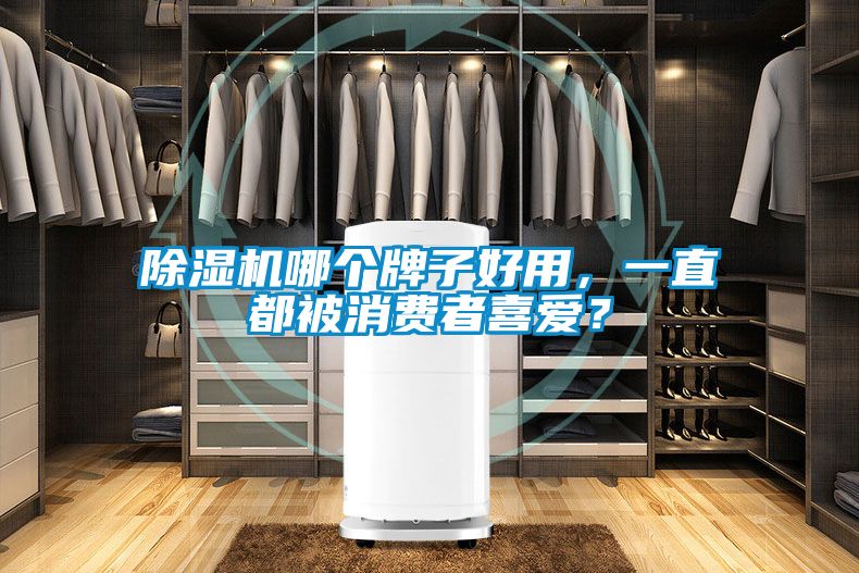 除濕機哪個牌子好用，一直都被消費者喜愛？