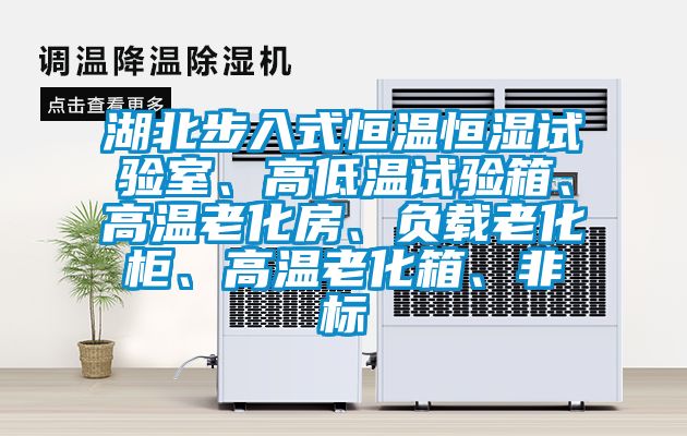 湖北步入式恒溫恒濕試驗室、高低溫試驗箱、高溫老化房、負載老化柜、高溫老化箱、非標