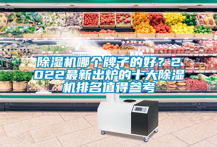 除濕機(jī)哪個(gè)牌子的好？2022最新出爐的十大除濕機(jī)排名值得參考