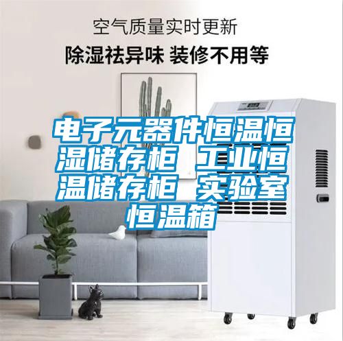 電子元器件恒溫恒濕儲存柜 工業(yè)恒溫儲存柜 實驗室恒溫箱