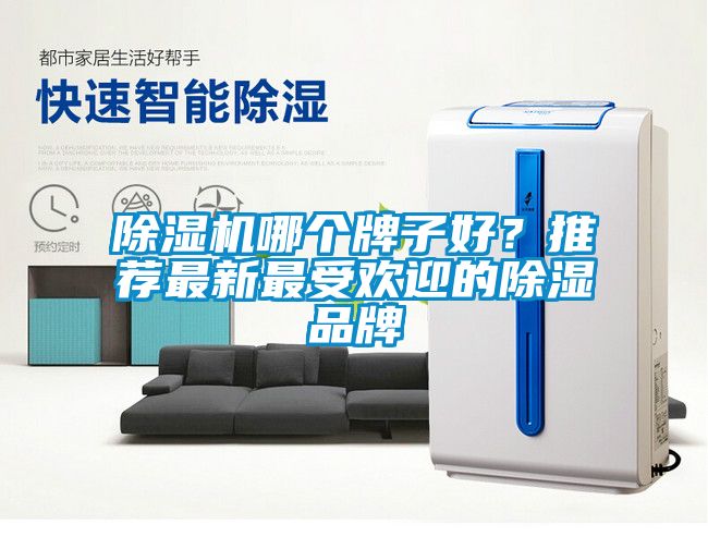 除濕機哪個牌子好？推薦最新最受歡迎的除濕品牌