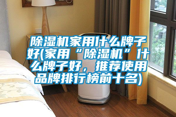 除濕機(jī)家用什么牌子好(家用“除濕機(jī)”什么牌子好，推薦使用品牌排行榜前十名)